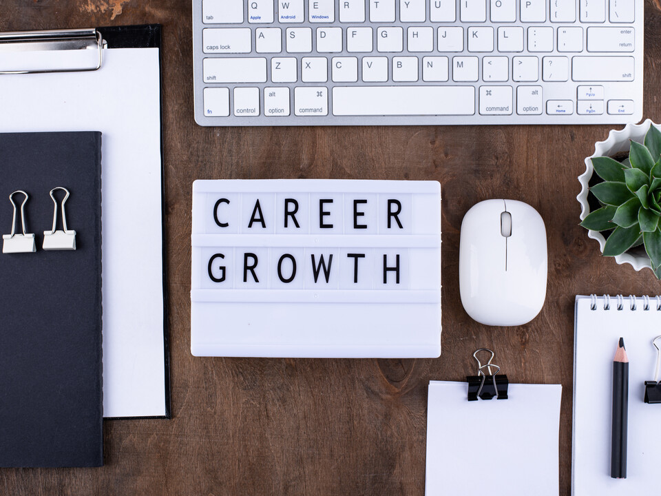 PALFINGER Training and Management Development PALFINGER Training and Management Development