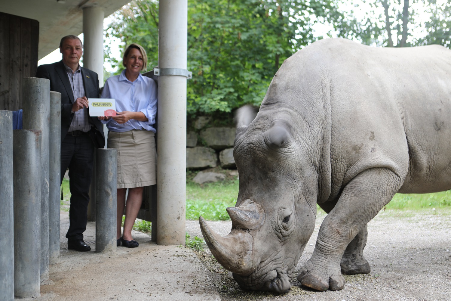 PALFINGER Patentier Athos.JPG