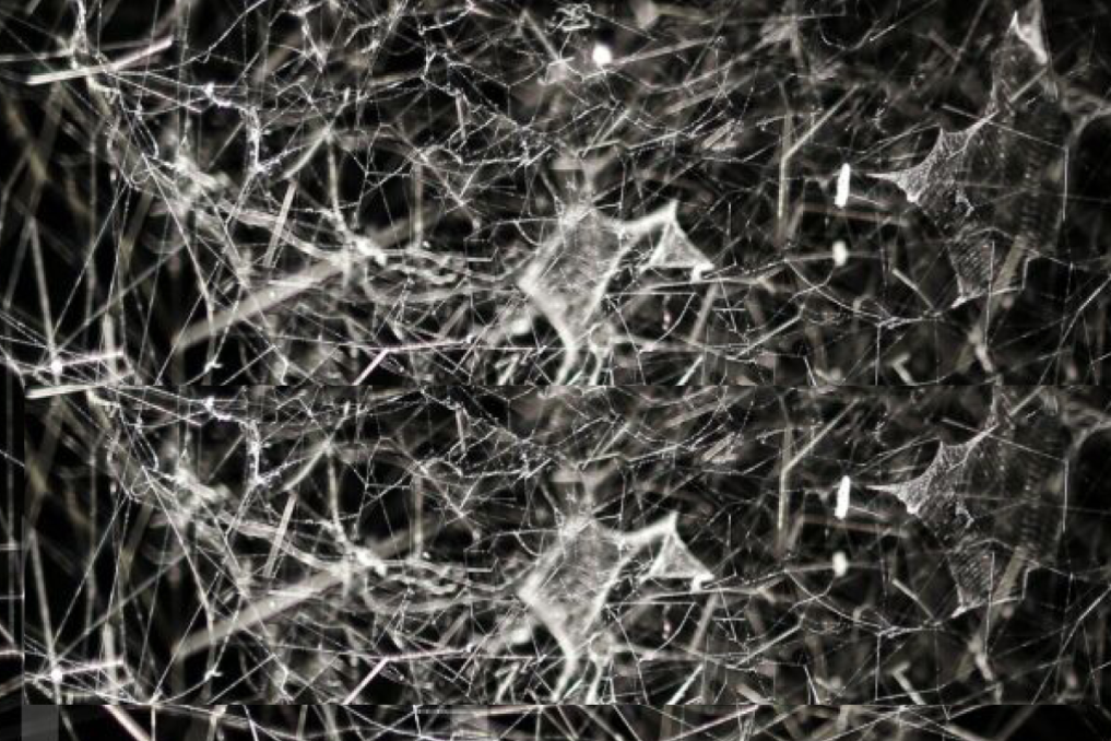 Network illustration