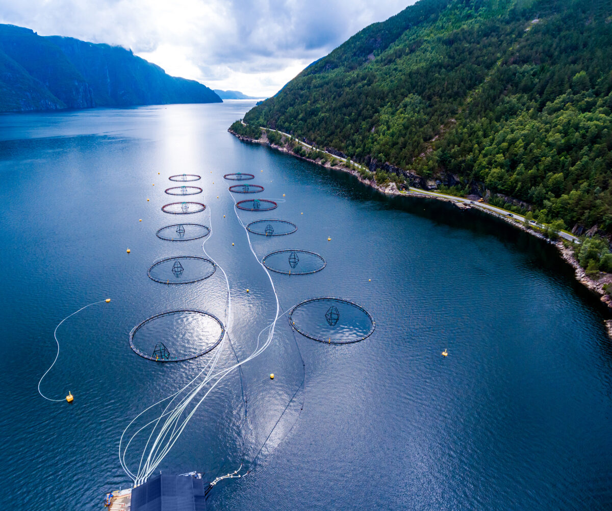 Enhancing Operational Efficiency in Aquaculture with PALFINGER