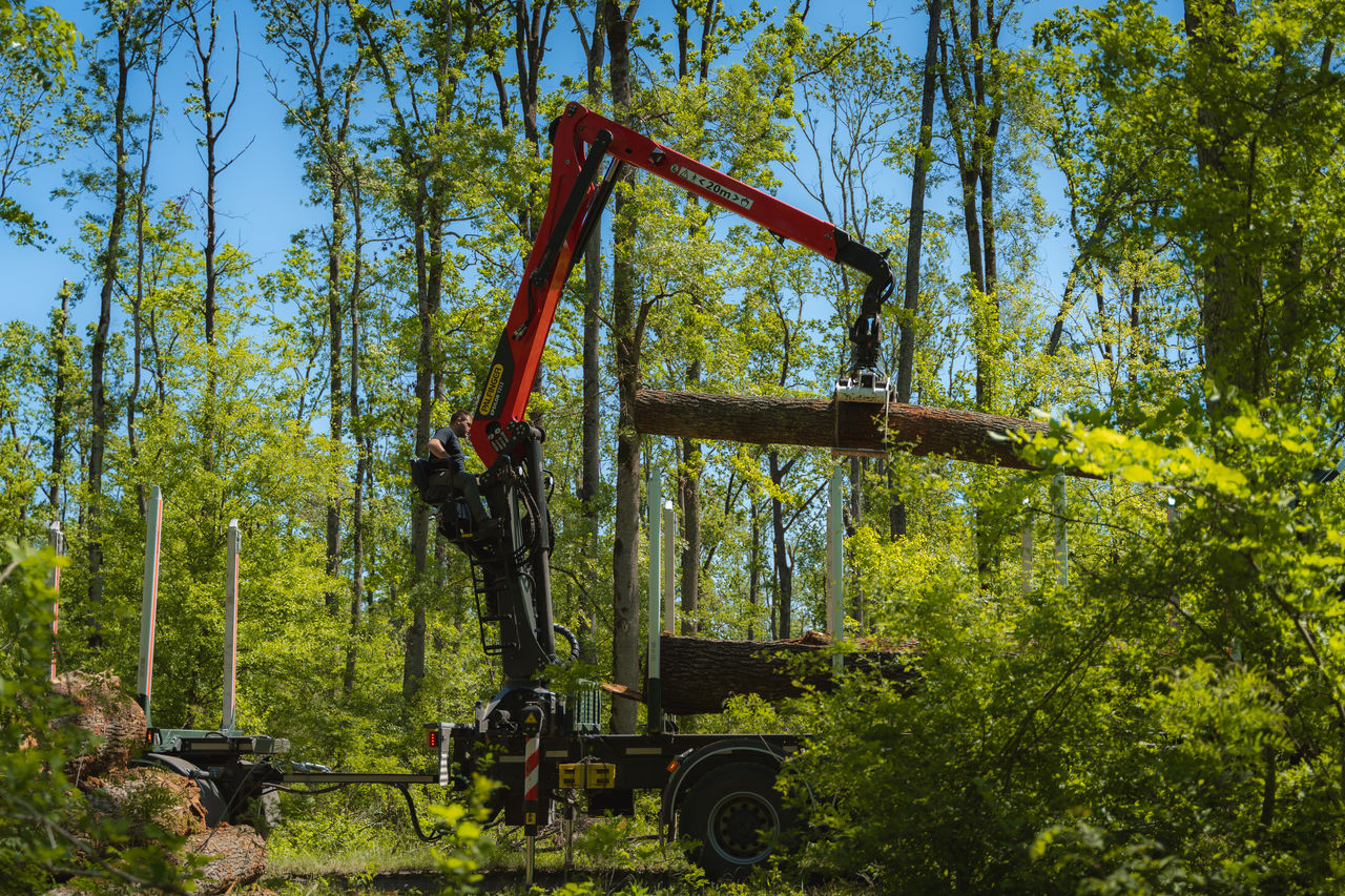 Che si tratti di fitte foreste o della giungla urbana, esiste una soluzione di sollevamento PALFINGER che aiuterà a portare la tua azienda al livello successivo